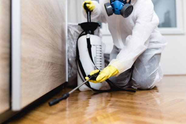 Best Flea Control Services  in Orlando, FL