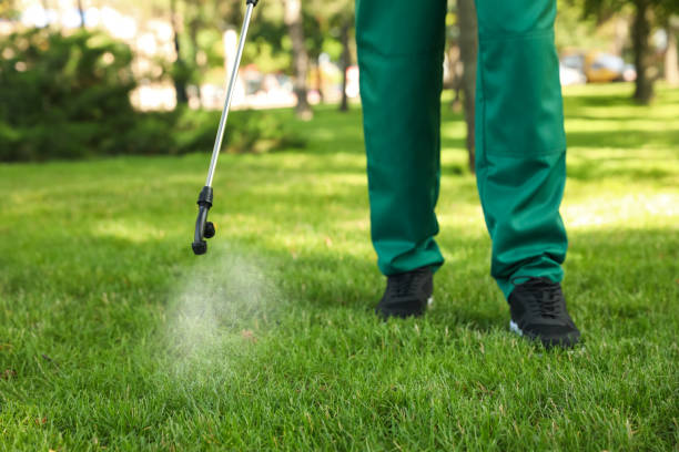 Reliable Orlando, FL Pest Control Solutions