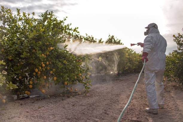 Best Residential Pest Control  in Orlando, FL