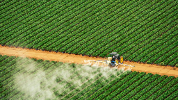 Best Pest Removal Services  in Orlando, FL