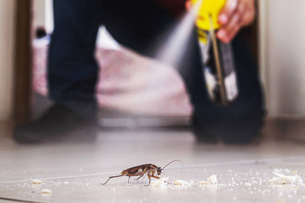 Best Best Pest Control Companies  in Orlando, FL